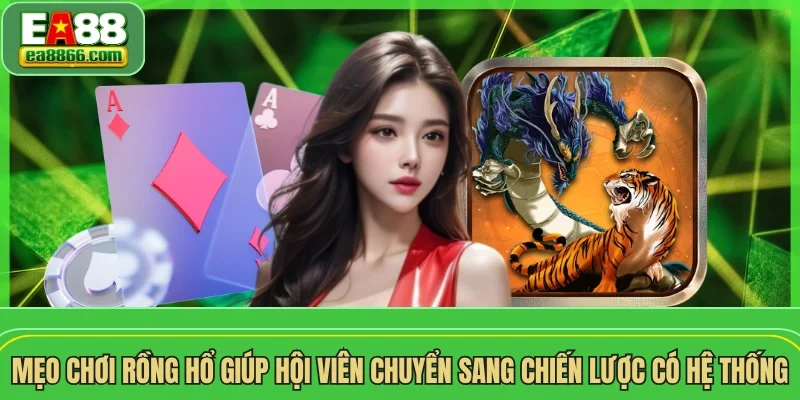 Mẹo chơi Rồng Hổ giúp hội viên chuyển sang chiến lược có hệ thống